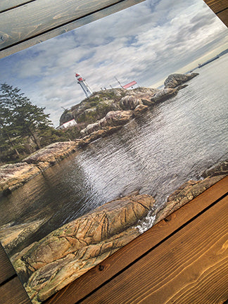 Lighthouse Park by Ev Demin